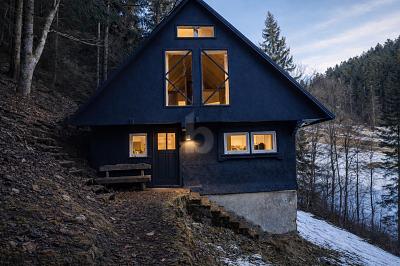 RÜCKZUGSORT MIT STIL - WALDCHALET - Lauterbach