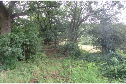 ungepflegte und ggf. belastete Holzungsfläche östlich von Bodenfelde