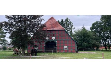 Historischer Niedersachsen- Bauernhof in Fachwerk mit Pferdeboxen u. tollen Eichenbaumbestand - Diepenau