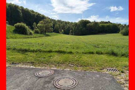 Baugebiet im Dornröschenschlaf - 125.000,00&nbsp;EUR Kaufpreis, ca.&nbsp; 26.776,00&nbsp;m&sup2; in Sibbesse (PLZ: 31079) Wrisbergholzen