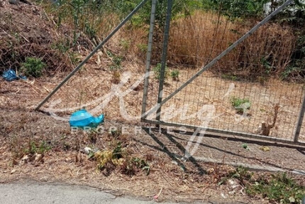 Grundstück Land Kaufen, , Acharnes (Athen West),