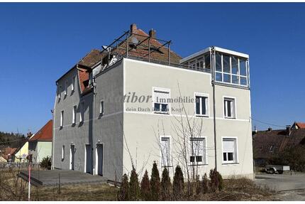 Außergewöhnliche und sehr großzügige 5 Zimmer Mansardenwohnung mit Dachterrasse und Wintergarten - Roth Eckersmühlen