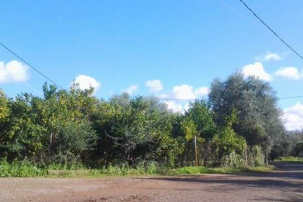 Grundstück Land Kaufen, , Zacharo (Ileia),