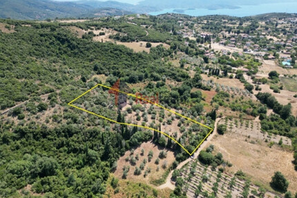 Grundstück Land Kaufen, , Argalasti (Pilio),