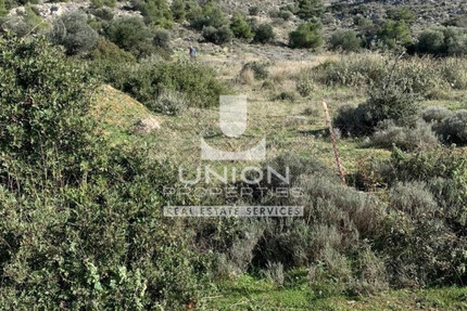 Grundstück Land Kaufen, , Vari- Varkiza (Athen Süd),