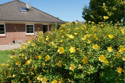Geltinger Bucht! Gepflegter Bungalow in ruhiger Lage in 24972 Steinbergkirche zu verkaufen.
