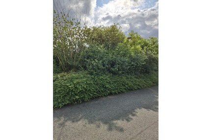 Großes Grundstück in Lügde - 112.000,00&nbsp;EUR Kaufpreis, ca.&nbsp; 800,00&nbsp;m&sup2; in Lügde (PLZ: 32676)