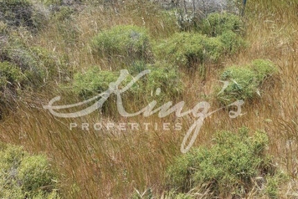 Grundstück Land Kaufen, , Acharnes (Athen West),