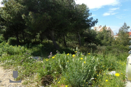 Grundstück Land Kaufen, , Voula (Athen Süd),