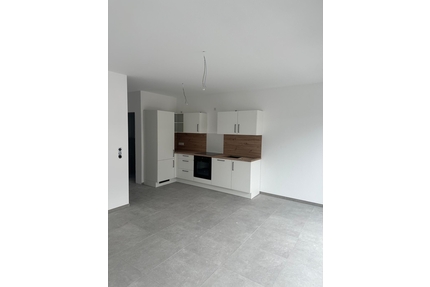 Reihenhäuser zur Miete in ruhiger Lage von Aschendorf - Papenburg / Aschendorf (Ems)