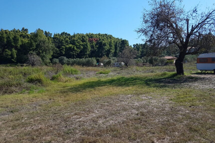 Grundstück Land Kaufen, , Pallini (Chalkidiki),