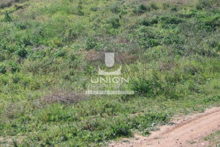 Grundstück Land Kaufen, , Koropi (Athen Ost),