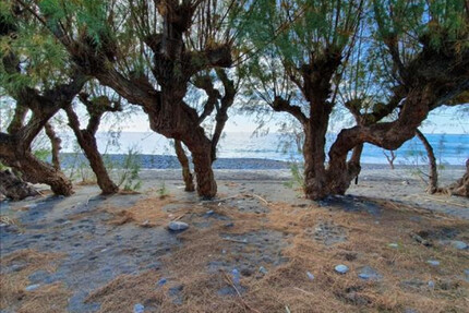 Gewerbe-Immobilie Kaufen, , Makrys Gialos (Lasithi Präfektur),