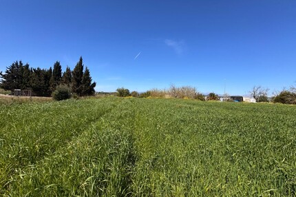 Grundstück in Montuiri - 195.000,00&nbsp;EUR Kaufpreis, ca.&nbsp; 0,00&nbsp;m&sup2; in Montuiri (PLZ: )