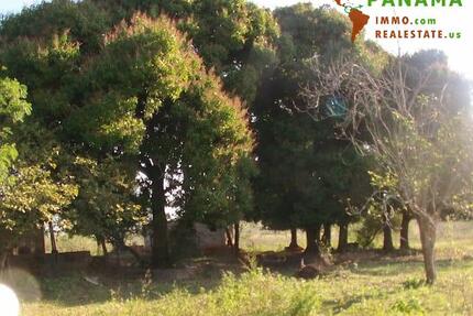 Paraguay: Natur belassenes Grundstück mit individueller Neubebauung - Piribebuy