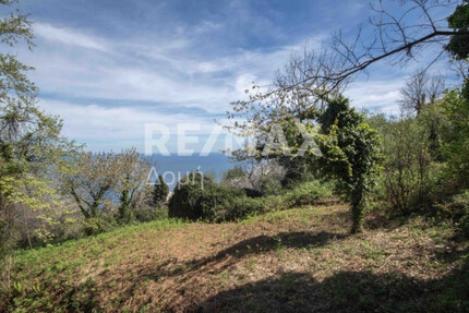 Grundstück Land Kaufen, , Mouresi (Pilio),