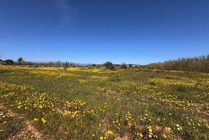 Grundstück in Algaida - 300.000,00&nbsp;EUR Kaufpreis, ca.&nbsp; 0,00&nbsp;m&sup2; in Algaida (PLZ: )