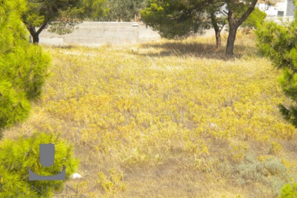Grundstück Land Kaufen, , Koropi (Athen Ost),