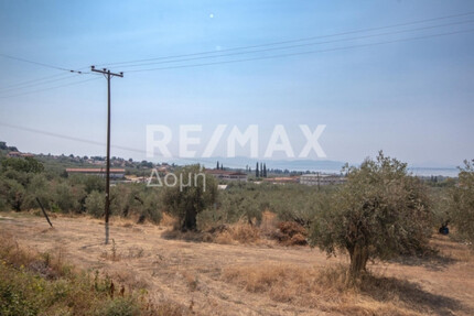 Grundstück Land Kaufen, , Artemida (Pilio),