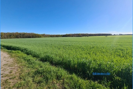 3,3 ha Ackerland bei Chörau und Dessau Mosigkau