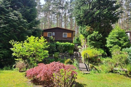 Sommer 2026 im eigenen Freizeitbungalow in ruhiger, idyllischer Waldlage von Coswig Möllensdorf - Coswig (Anhalt)