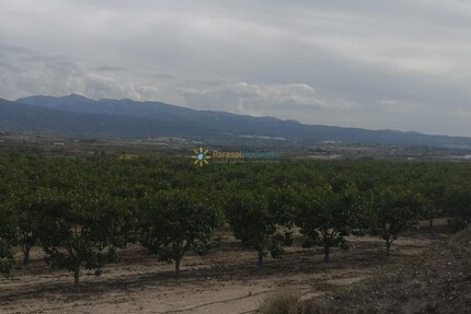 Grundstück in Beniganim - 88.000,00&nbsp;EUR Kaufpreis, ca.&nbsp; 0,00&nbsp;m&sup2; in Beniganim (PLZ: )