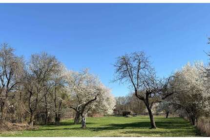 4 WOHNEINHEITEN SIND MÖGLICH - IN TRAUMHAFT RENOVIERTER HOFSTELLE... - Bleyen-Genschmar