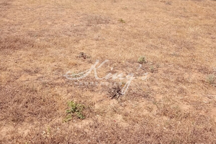 Grundstück Land Kaufen, , Acharnes (Athen West),