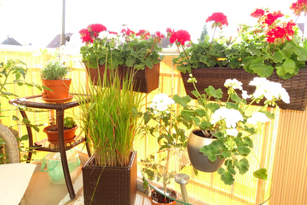 Gemütliche 3-Zimmer-Eigentumswohnung für Ihre Familie oder als Kapitalanlage - Coswig