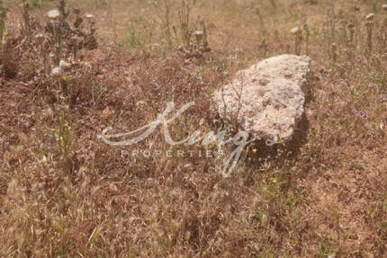 Grundstück Land Kaufen, , Acharnes (Athen West),