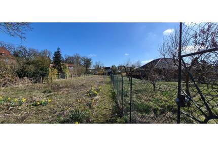 Stadtnahes Wohnen auf großem Grundstück - Viel Platz für Ihre Ideen - Dannenberg