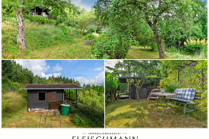 Ihr eigenes Bio-Paradies in Suhl: Pestizidfreier Naturgarten mit Holzhaus, Strom & Ganzjahreswasser!