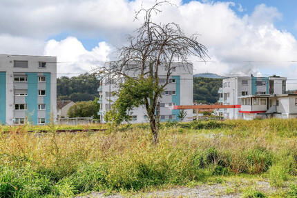 Sonniger Bauplatz für eine großzügige Doppelhaushälfte mit Baugenehmigung - Gaggenau / Ottenau