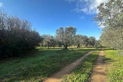 Grundstück in Rosignano Marittimo, Toscana, 3.800 m²
