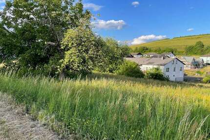 Grundstück zu verkaufen in Burbach 22.000,00 € 489 m²