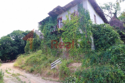 Haus Kaufen, , Mouresi (Pilio),