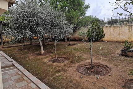 Haus Kaufen, , Anavyssos (Attika - Restliche Gemeinden),