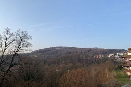 Schönes renoviertes 1-Zimmer Apartment im Ortskern von Lindenfels