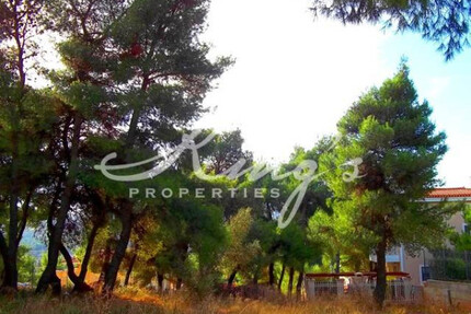 Grundstück Land Kaufen, , Stamata (Athen Nord),