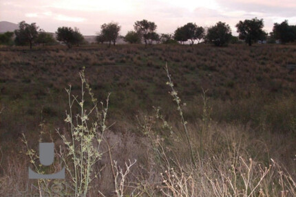 Grundstück Land Kaufen, , Koropi (Athen Ost),