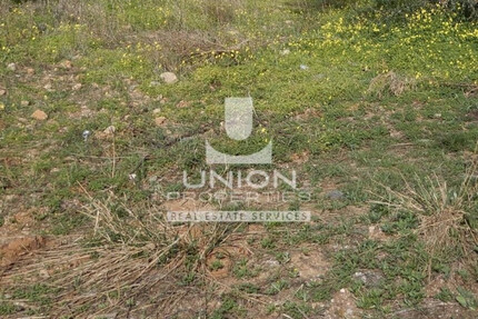 Grundstück Land Kaufen, , Koropi (Athen Ost),