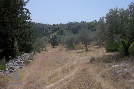 Grundstück Land Kaufen, , Koropi (Athen Ost),