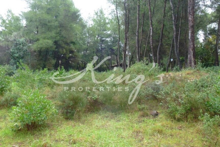 Grundstück Land Kaufen, , Lykovrysi (Athen Nord),