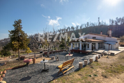 Haus Kaufen, , Artemisio (Euböa),