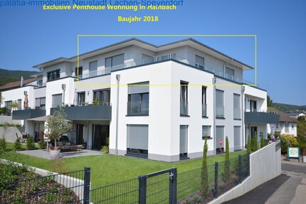 Eine traumhafte, lichtdurchflutete Penthouse-Wohnung mitten in den Weinbergen. - Neustadt an der Weinstraße Hambach