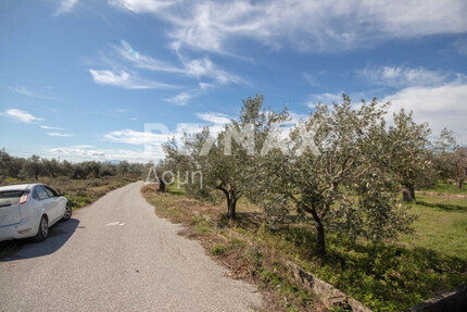 Grundstück Land Kaufen, , Artemida (Pilio),