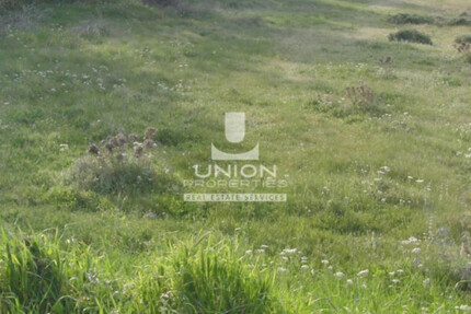 Grundstück Land Kaufen, , Koropi (Athen Ost),