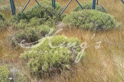 Grundstück Land Kaufen, , Acharnes (Athen West),