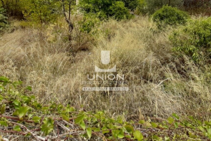 Grundstück Land Kaufen, , Koropi (Athen Ost),