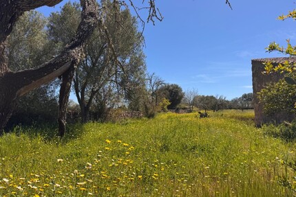 Grundstück in Algaida - 320.000,00&nbsp;EUR Kaufpreis, ca.&nbsp; 0,00&nbsp;m&sup2; in Algaida (PLZ: )